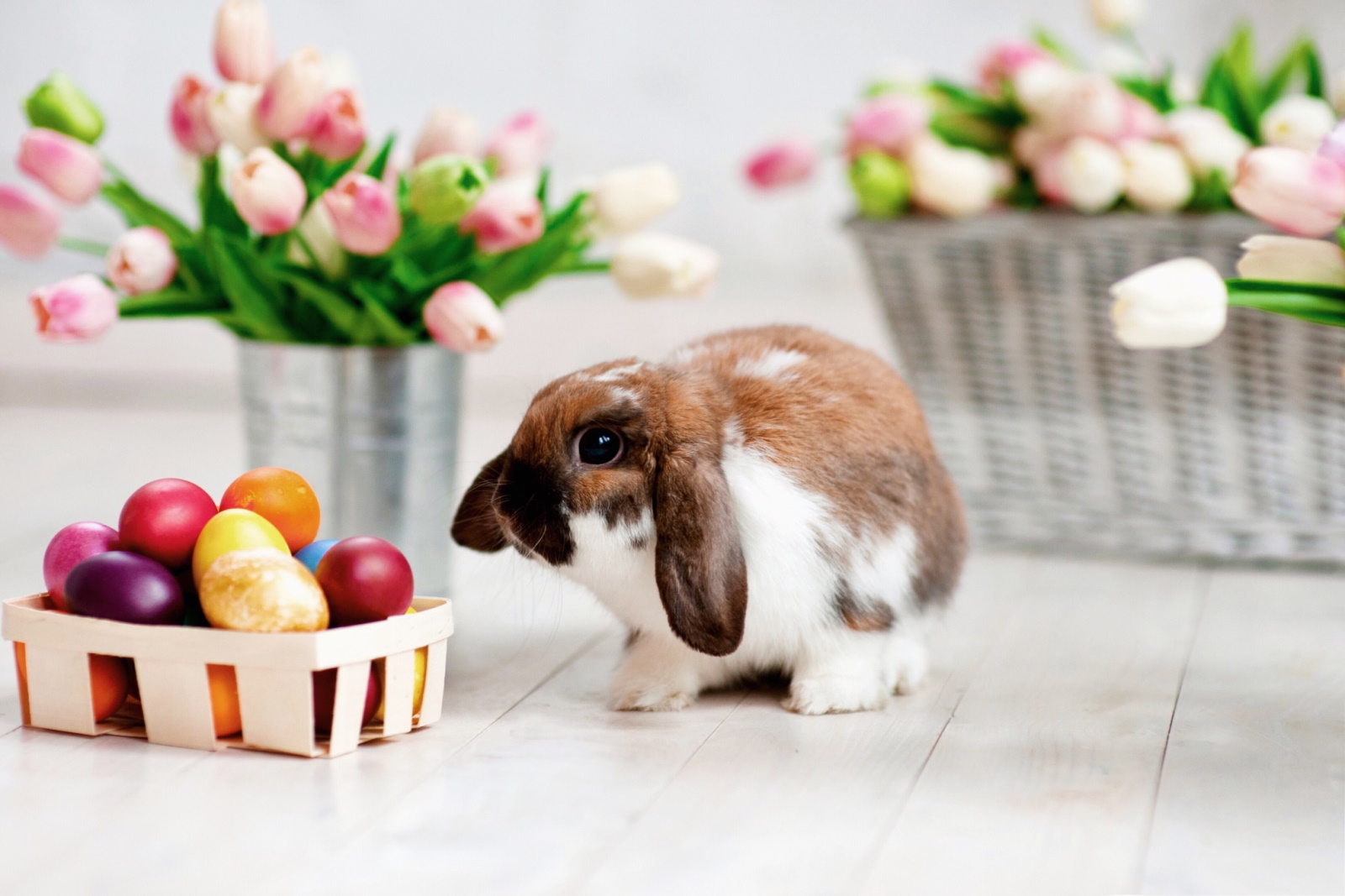 Cute easter bunny with fruits on a white table